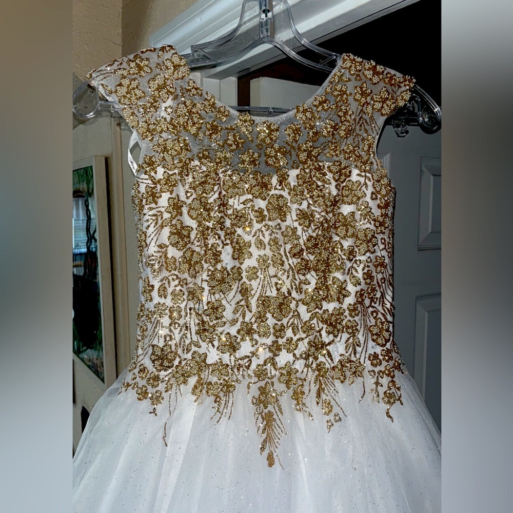 COPY - Tiffany pageant dress